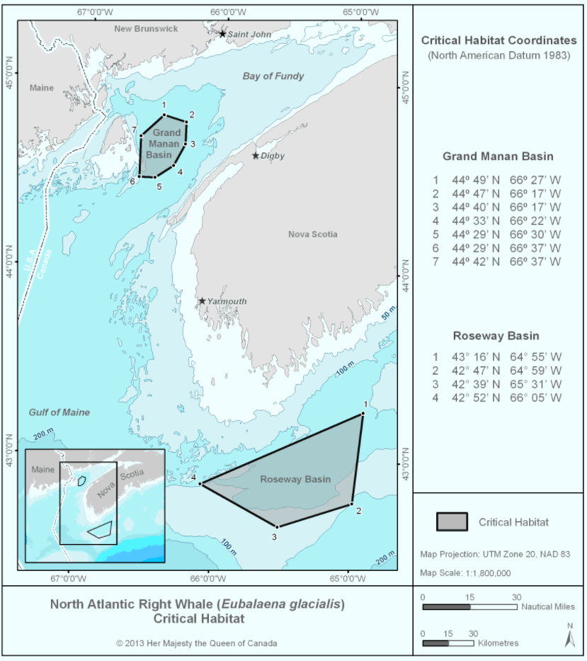 North Atlantic right whales critical habitat (en Anglais)