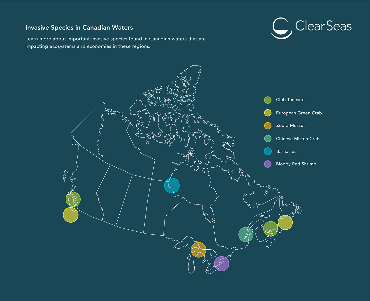 invasive-species-in-canadian-waters-clear-seas