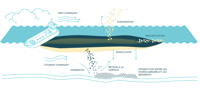 Clean Up - Natural Recovery Large