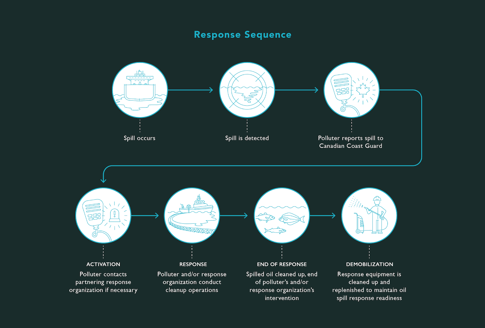 Response Sequence infographic