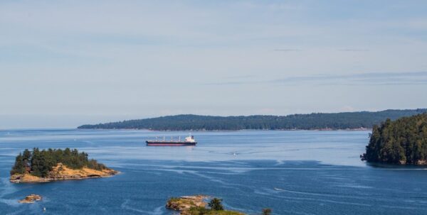 Cartographie du trafic maritime : Outiller les communautés côtières du Canada pour une meilleure compréhension du transport maritime et de ses risques post thumbnail