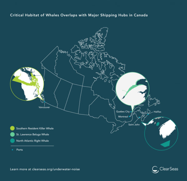 Critical Habitat of Whales Overlaps with Major Shipping Hubs in Canada post thumbnail